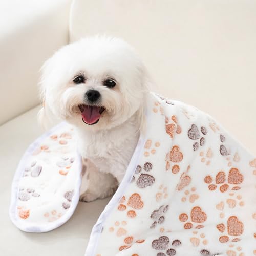 12 Pack Small Fleece Dog Blankets – Washable Pet Throws for Cats, Guinea Pigs & Kittens (23x16 Inches, 4 Colors)