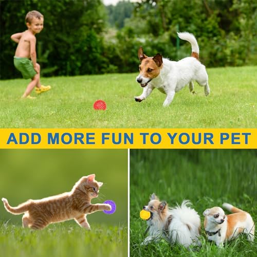 12 Pack Squeaky Dog Toy Balls – 2.5 Inch Spiky Balls for Medium, Large, and Small Dogs – Beieverluck (6 Colors)