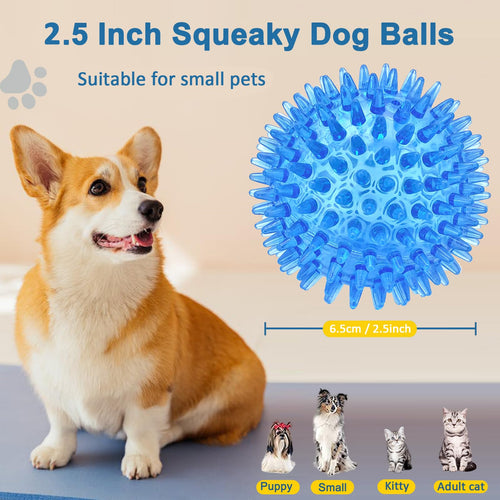 12 Pack Squeaky Dog Toy Balls – 2.5 Inch Spiky Balls for Medium, Large, and Small Dogs – Beieverluck (6 Colors)