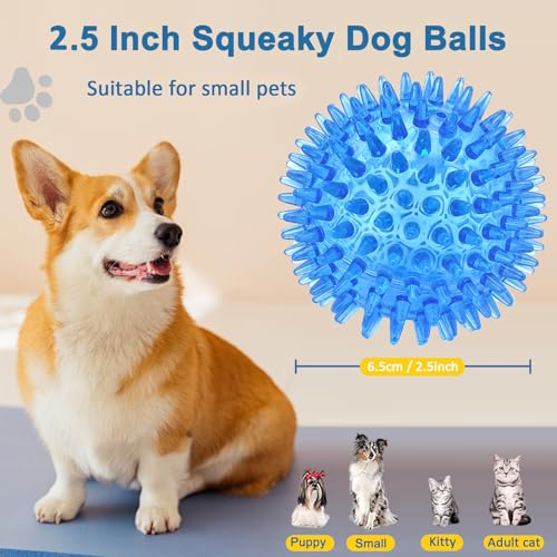 12 Pack Squeaky Dog Toy Balls – 2.5 Inch Spiky Balls for Medium, Large, and Small Dogs – Beieverluck (6 Colors)