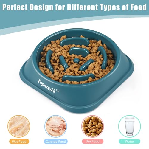 2-Pack Slow Feeder Dog Bowls for Large Breeds – Non-Slip Maze Design Reduces Bloating & Overeating – Easy Clean Plastic – Black & Navy Blue