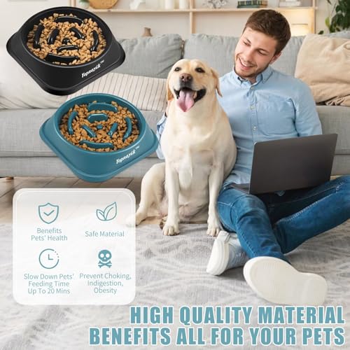 2-Pack Slow Feeder Dog Bowls for Large Breeds – Non-Slip Maze Design Reduces Bloating & Overeating – Easy Clean Plastic – Black & Navy Blue