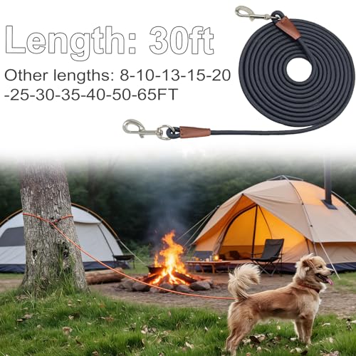 30-Foot Dog Tie Out Leash – 3/8" Nylon Rope Tether with Heavy Duty Clips – Black by SEPXUFORE