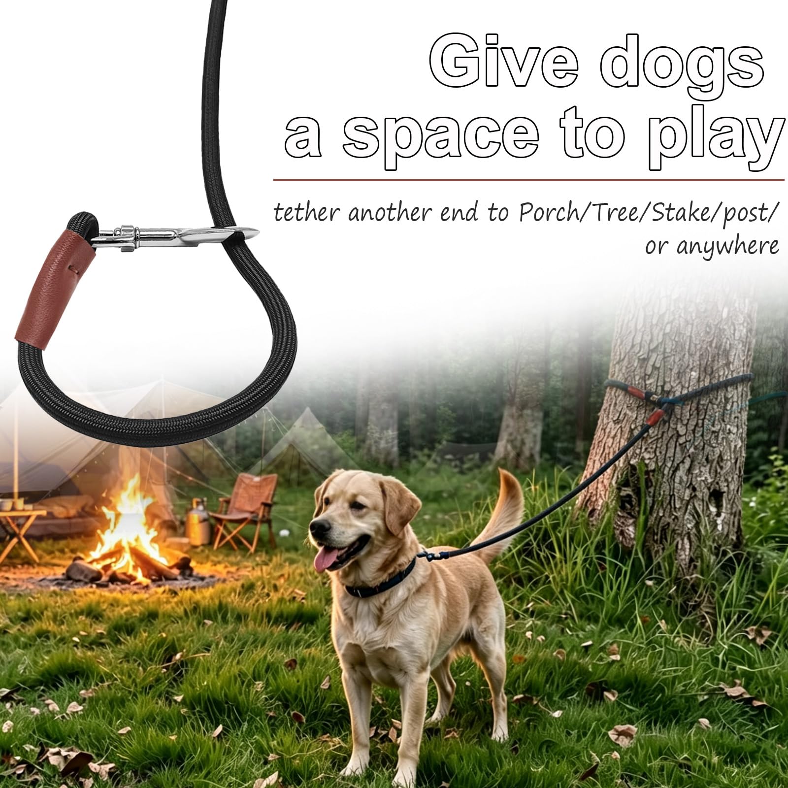 30-Foot Dog Tie Out Leash – 3/8" Nylon Rope Tether with Heavy Duty Clips – Black by SEPXUFORE