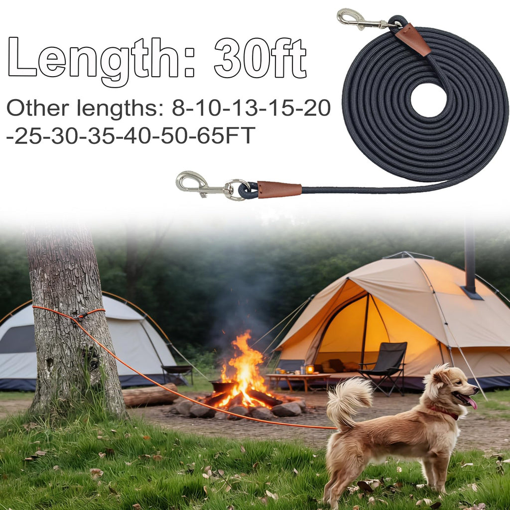 30-Foot Dog Tie Out Leash – 3/8" Nylon Rope Tether with Heavy Duty Clips – Black by SEPXUFORE