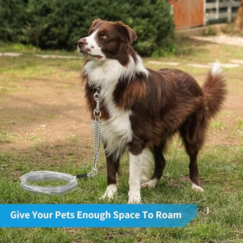 30 ft Heavy Duty Dog Tie Out Cable with Removable Shock Spring for Large Dogs up to 250 lbs