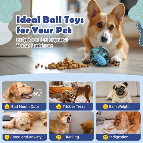 4-in-1 Dog Toy: Frozen Treat Dispenser & Licking Ball for Mental Enrichment