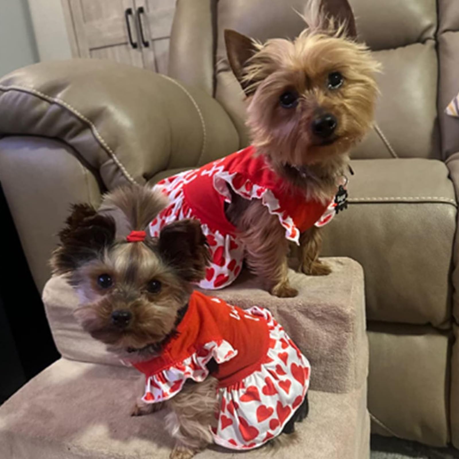 4 Pack Small Dog Flower Dresses for Teacup Breeds – XPUDAC Colorful Puppy Apparel (Medium, 8-11 lbs)