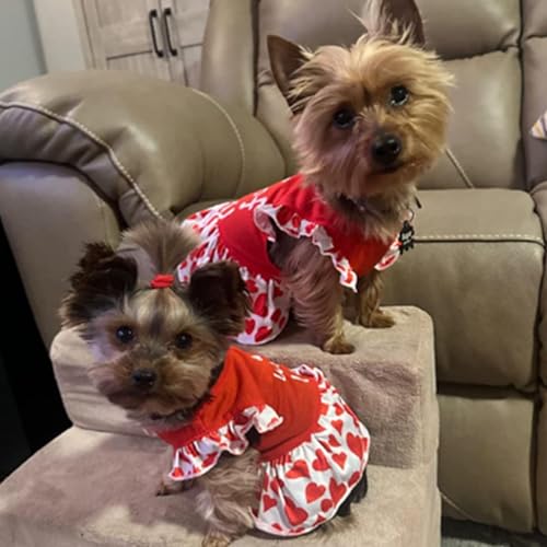 4 Pack Small Dog Flower Dresses for Teacup Breeds – XPUDAC Colorful Puppy Apparel (Medium, 8-11 lbs)