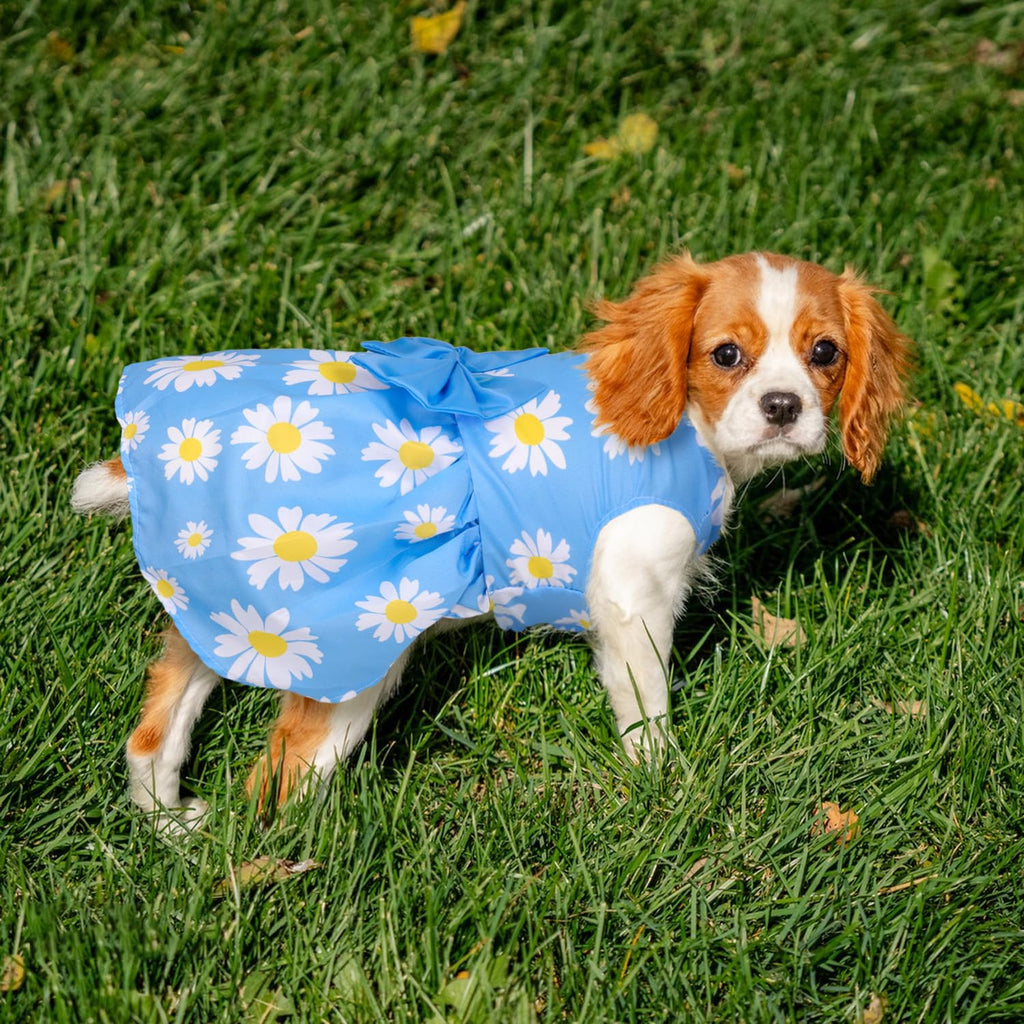 5-Pack Floral Summer Dog Dresses for Small Dogs – Cute Bowknot Design by BAOBICUTE