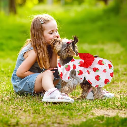 5-Pack Floral Summer Dog Dresses for Small Dogs – Cute Bowknot Design by BAOBICUTE
