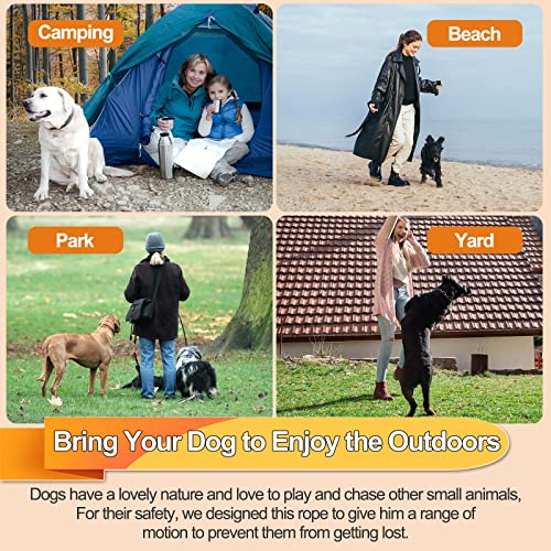 50ft Heavy Duty Tie Out Cable for Dogs Up to 125 lbs – Mi Metty Orange Chew Resistant Dog Tether