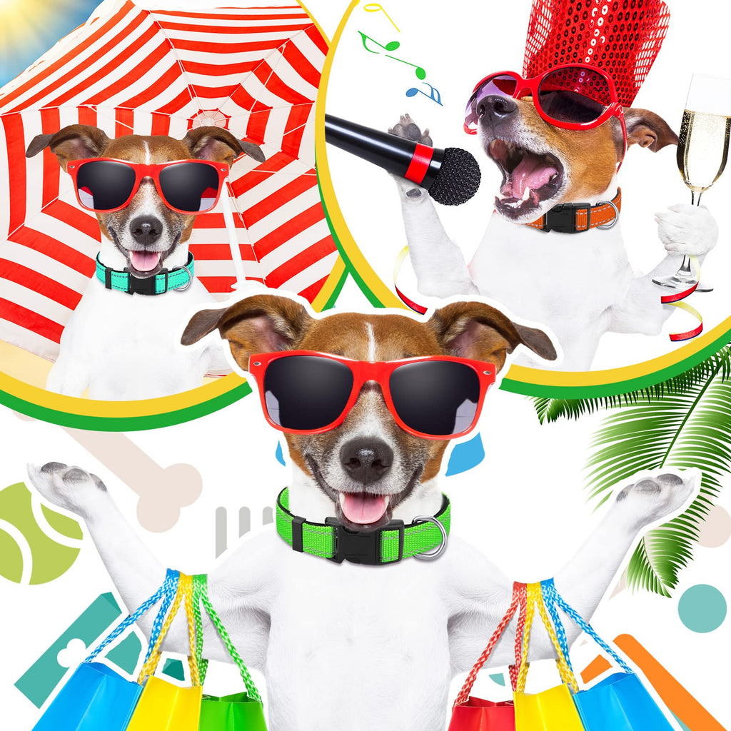 6-Pack Reflective Dog Collars – Soft Padded Nylon, Adjustable Safety Buckle, Bright Colors for Small, Medium, Large Pets