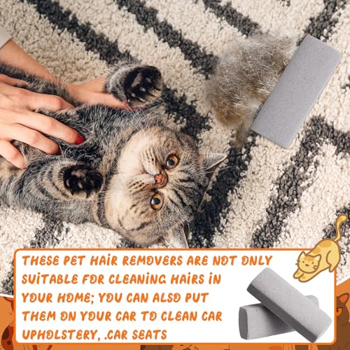 Abbylike 6-Pack Pet Hair Remover Pumice Stones - Gray, 6.1 x 2.56 x 1.4 Inch for Carpet, Couch, Car Upholstery