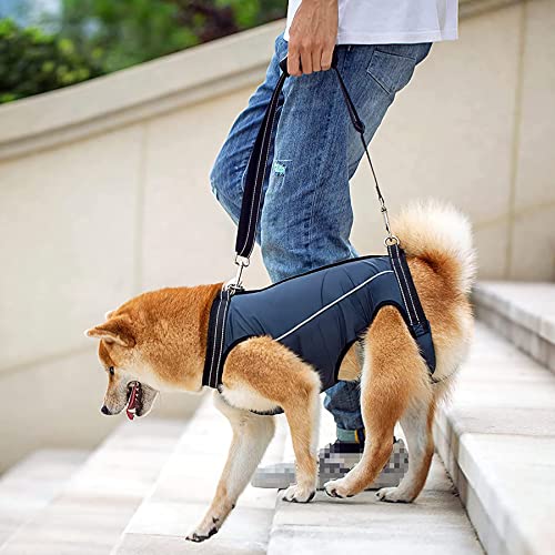 ACDOK Dog Lift Harness – Small, Navy – Full Body Support & Recovery Sling for Elderly or Disabled Dogs