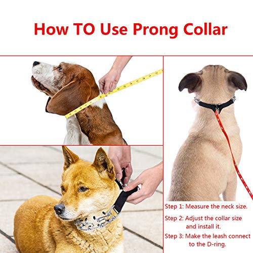 Aheasoun Dog Prong Training Collar - 19.6 Inch, Quick Release Buckle, Comfort Rubber Tips for Medium Dogs (30-70 lbs)