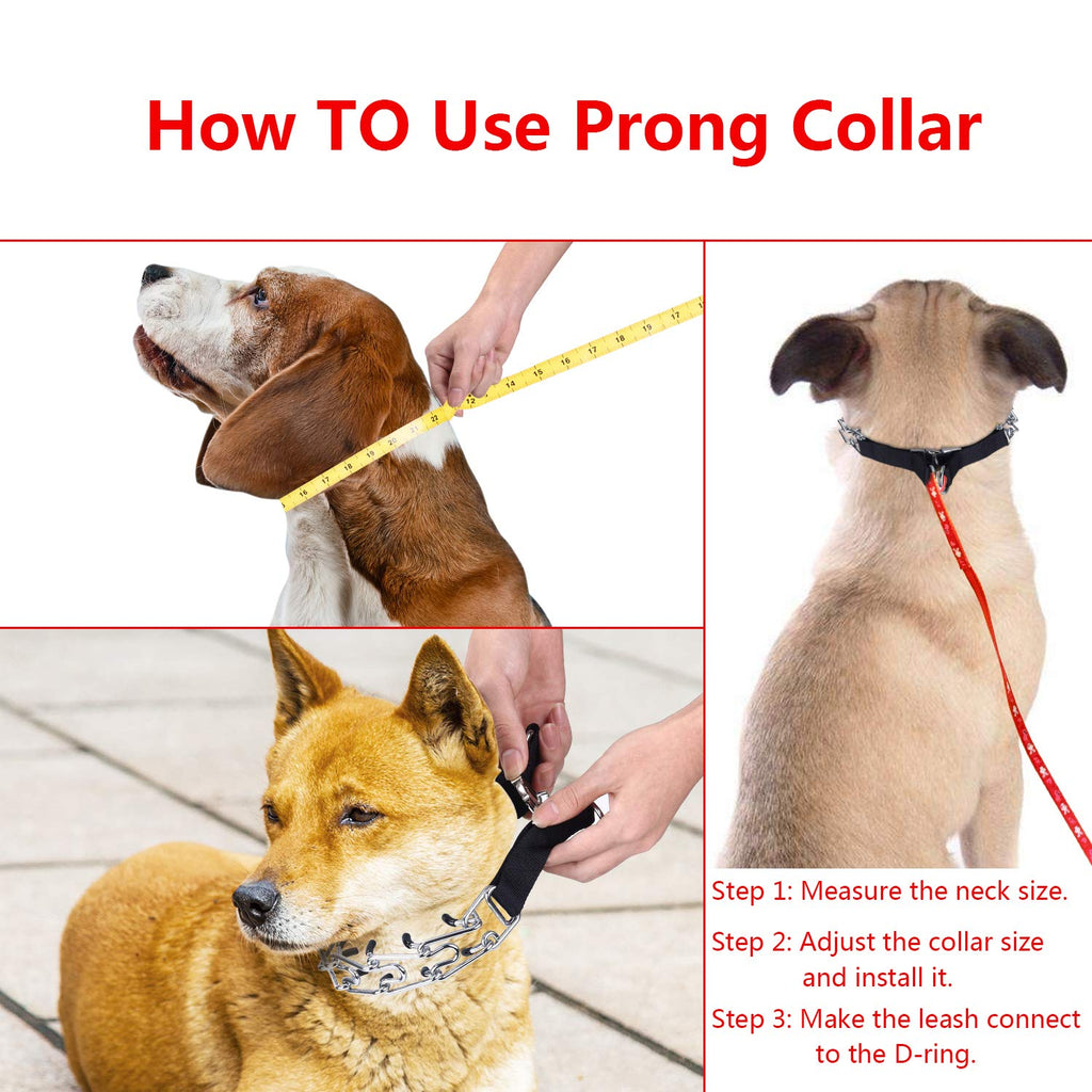 Aheasoun Dog Prong Training Collar - 19.6 Inch, Quick Release Buckle, Comfort Rubber Tips for Medium Dogs (30-70 lbs)