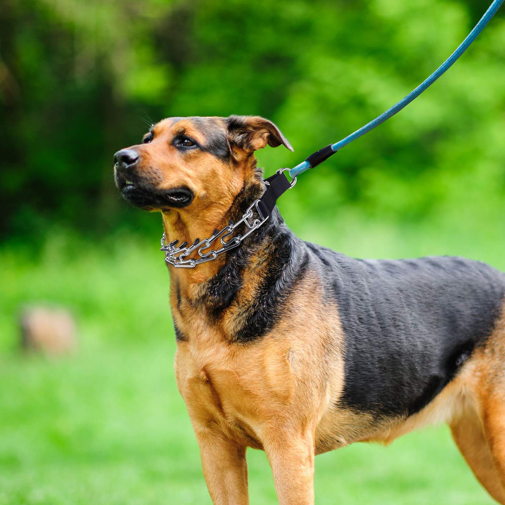 Aheasoun Dog Prong Training Collar - 19.6 Inch, Quick Release Buckle, Comfort Rubber Tips for Medium Dogs (30-70 lbs)