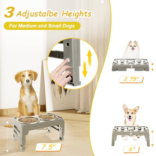 AIRMX Adjustable Raised Dog Bowl Stand – 3 Heights, Stainless Steel Bowls, Anti-Slip for Small Dogs