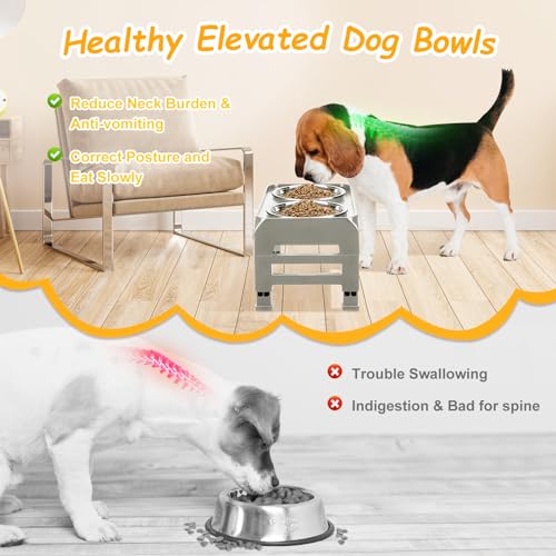 AIRMX Adjustable Raised Dog Bowl Stand – 3 Heights, Stainless Steel Bowls, Anti-Slip for Small Dogs