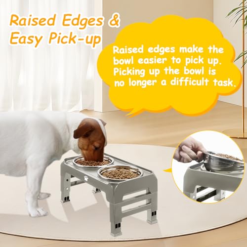 AIRMX Adjustable Raised Dog Bowl Stand – 3 Heights, Stainless Steel Bowls, Anti-Slip for Small Dogs