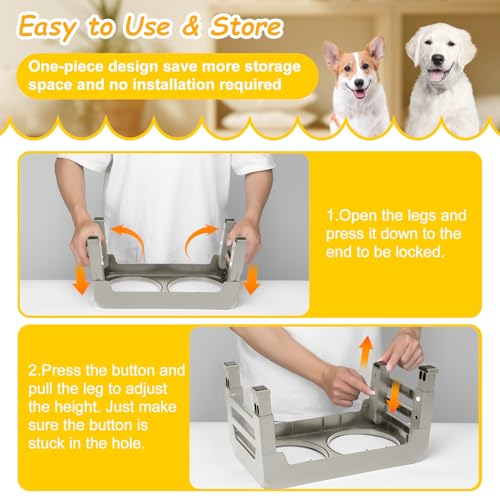 AIRMX Adjustable Raised Dog Bowl Stand – 3 Heights, Stainless Steel Bowls, Anti-Slip for Small Dogs