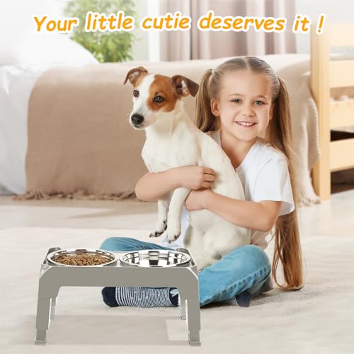 AIRMX Adjustable Raised Dog Bowl Stand – 3 Heights, Stainless Steel Bowls, Anti-Slip for Small Dogs