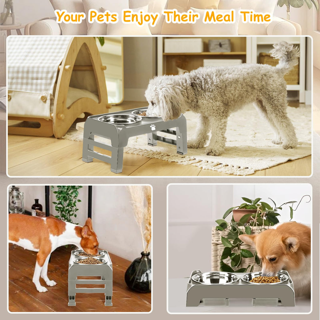 AIRMX Adjustable Raised Dog Bowl Stand – 3 Heights, Stainless Steel Bowls, Anti-Slip for Small Dogs