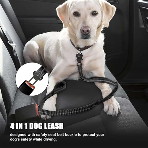 AIRUIDOG Heavy Duty Tactical Dog Leash, 4-6FT Shock Absorbing Bungee with 2 Padded Handles, Reflective No-Pull for Medium/Large Dogs