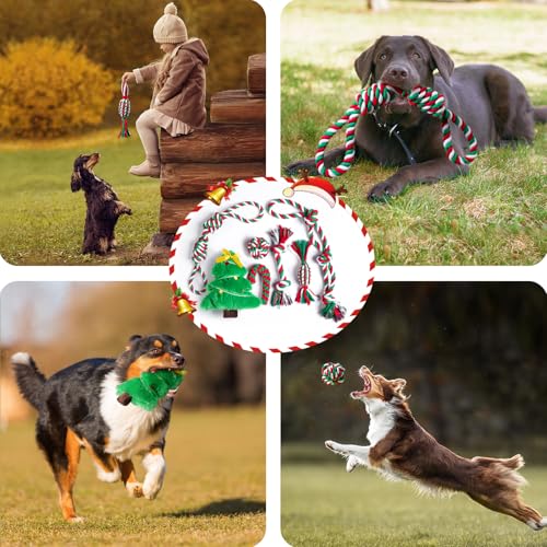 Aitmexcn 7-Piece Dog Rope Toy Set for Large & Small Dogs – Cotton Rope Balls, Rings, Squeaky Christmas Toys for Chewing and Teeth Cleaning