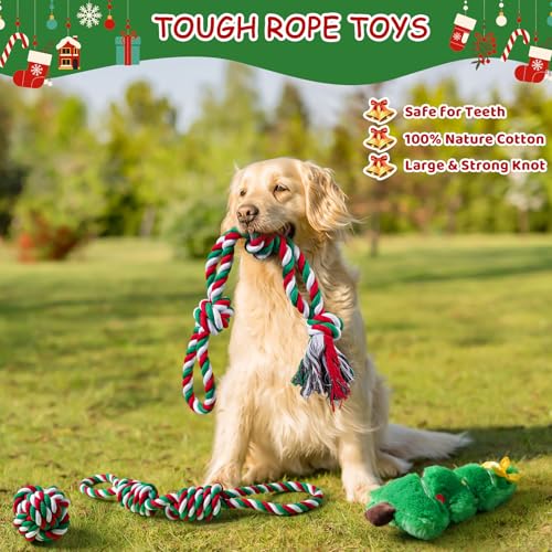 Aitmexcn 7-Piece Dog Rope Toy Set for Large & Small Dogs – Cotton Rope Balls, Rings, Squeaky Christmas Toys for Chewing and Teeth Cleaning