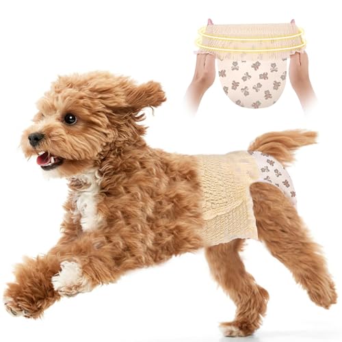Ambreview Disposable Dog Diapers for Female - XL Size Pull-Up with Stretchy Waist, 10 Count - Super Absorbent and Leak-Proof