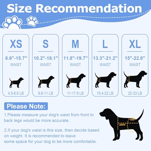 Ambreview Disposable Dog Diapers for Female - XL Size Pull-Up with Stretchy Waist, 10 Count - Super Absorbent and Leak-Proof