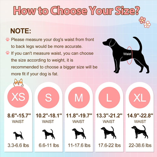 Ambreview Disposable Dog Diapers for Female Dogs, XL (10 Count) – Pull-Up Design with Strong Absorbency