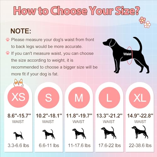 Ambreview Disposable Dog Diapers for Female Dogs, XL (10 Count) – Pull-Up Design with Strong Absorbency