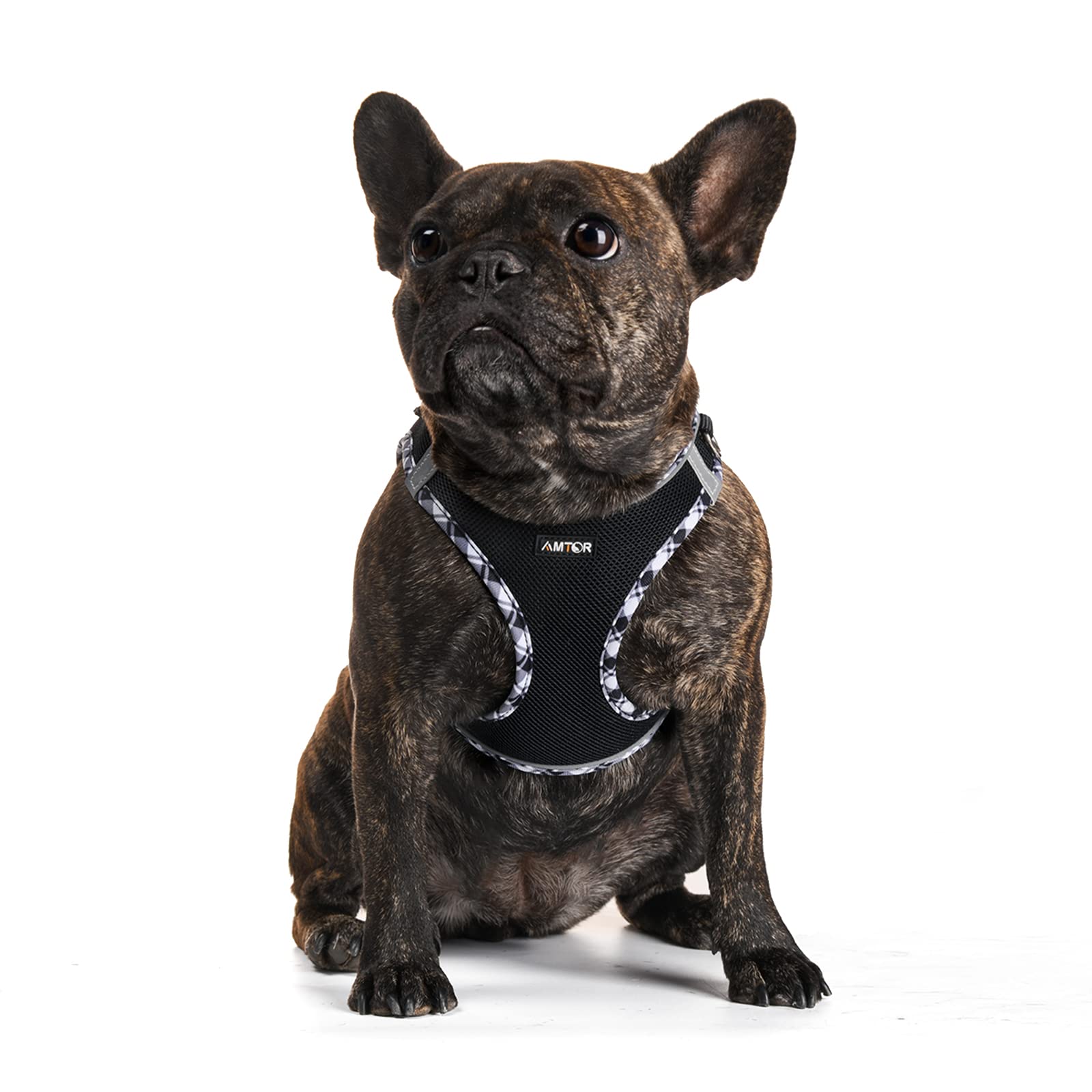 AMTOR Dog Harness with Leash Set, No Pull Reflective Step-in Harness for X-Large Dogs, Black/White, Chest 18.5-21 Inches