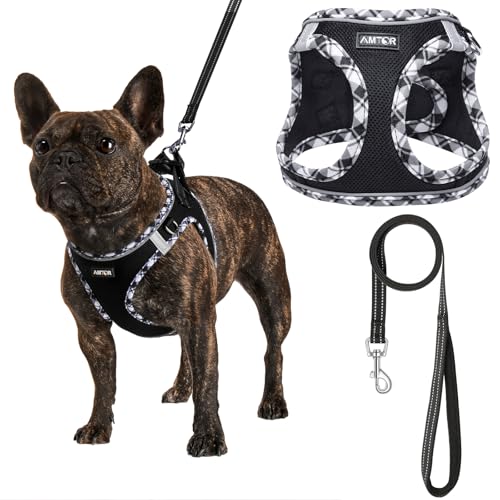 AMTOR Dog Harness with Leash Set, No Pull Reflective Step-in Harness for X-Large Dogs, Black/White, Chest 18.5-21 Inches