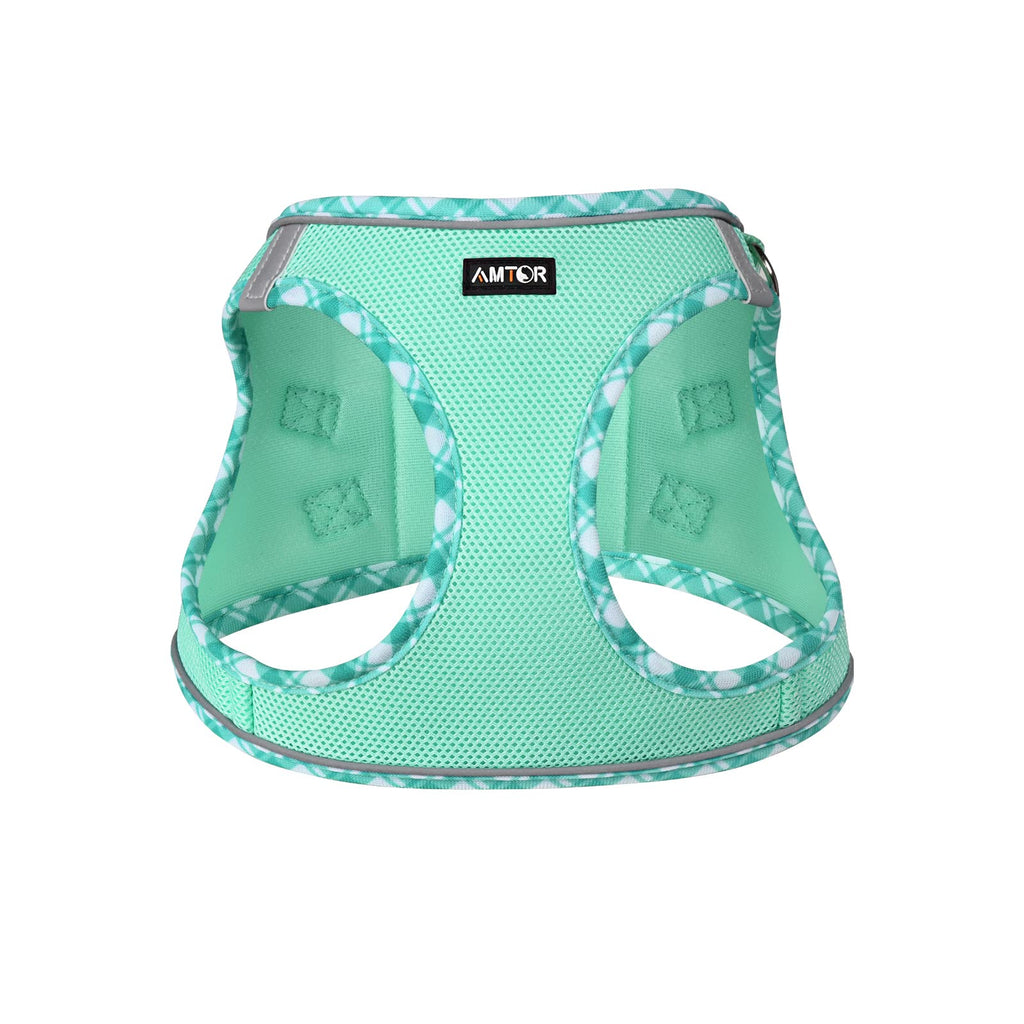 AMTOR No Pull Small Dog Harness and Leash Set - Reflective Breathable Mesh Vest Harness for Training Walking, Step-in Design, Green, Large