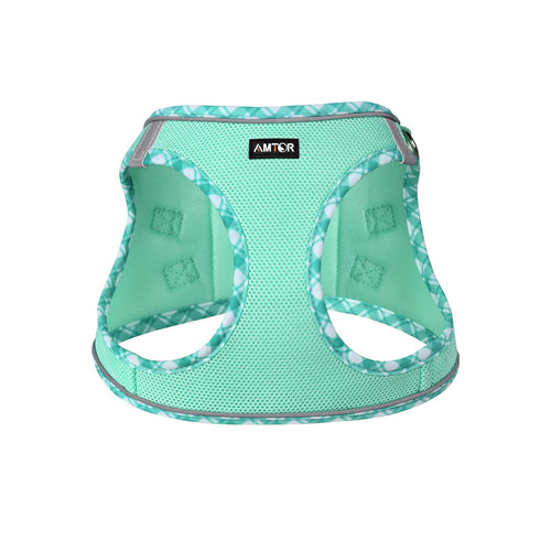 AMTOR No Pull Small Dog Harness and Leash Set - Reflective Breathable Mesh Vest Harness for Training Walking, Step-in Design, Green, Large