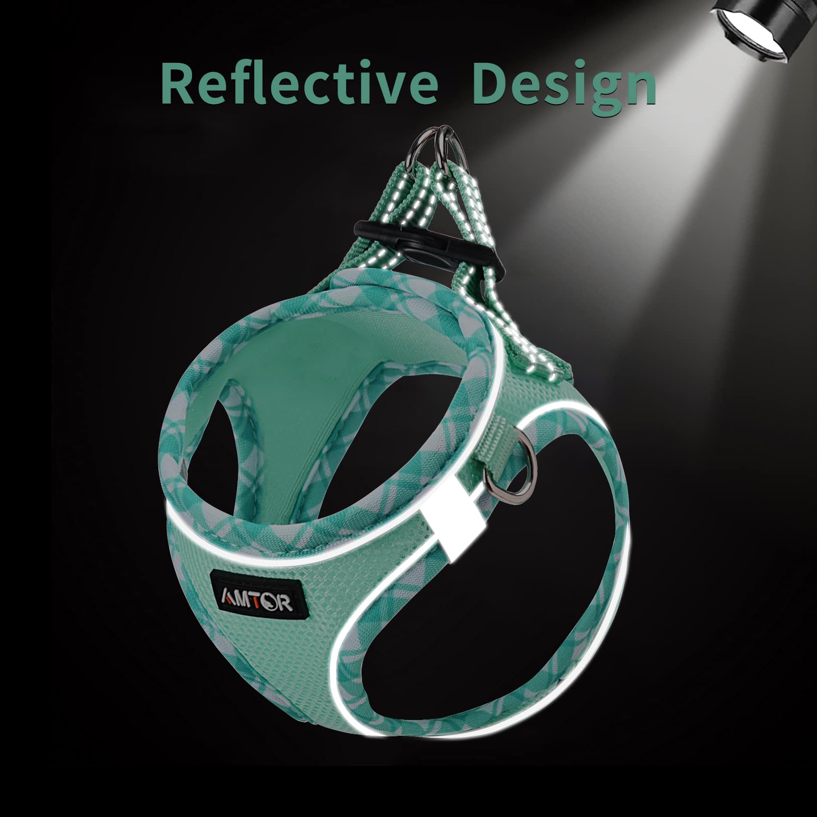 AMTOR No Pull Small Dog Harness and Leash Set - Reflective Breathable Mesh Vest Harness for Training Walking, Step-in Design, Green, Large