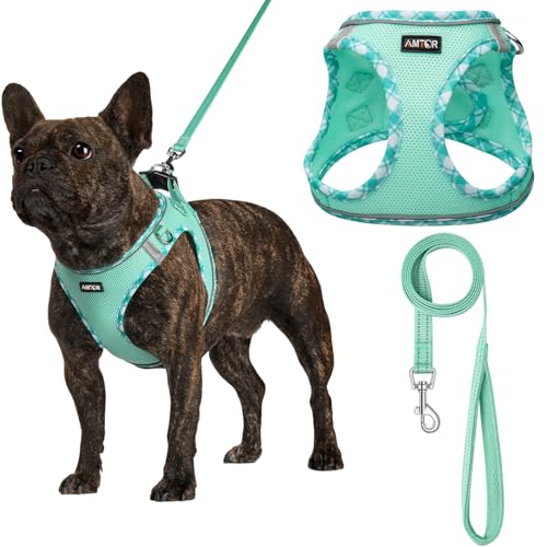 AMTOR No Pull Small Dog Harness and Leash Set - Reflective Breathable Mesh Vest Harness for Training Walking, Step-in Design, Green, Large