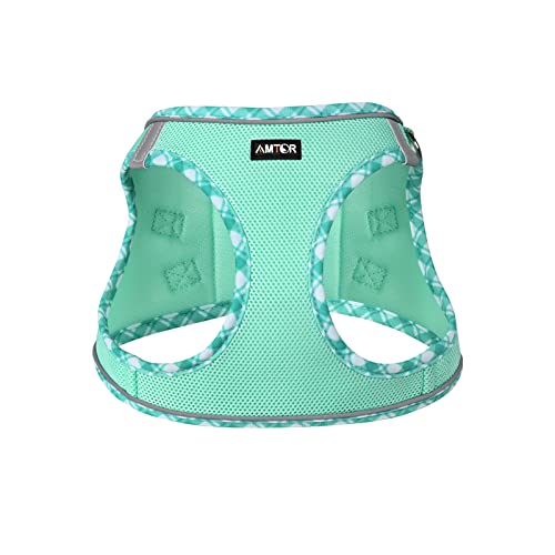 AMTOR No Pull Small Dog Harness and Leash Set - Reflective Breathable Mesh Vest Harness for Training Walking, Step-in Design, Green, Large