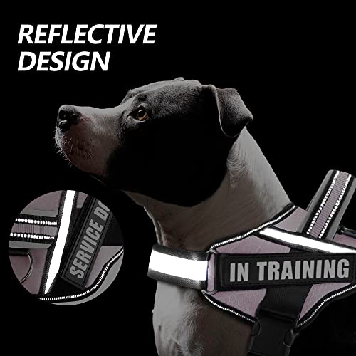 Animire Dog Vest Harness and Patches Set - Pink XX-Small (Chest 12-15 inches) with 8 Training Patches