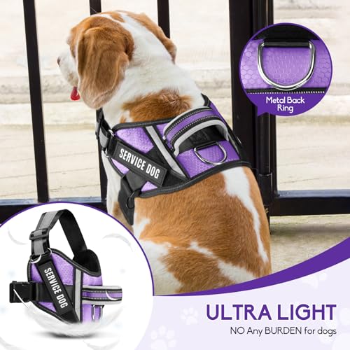 Animire Service Dog Vest Harness and Leash Set – Purple, Size S with 10 Patches