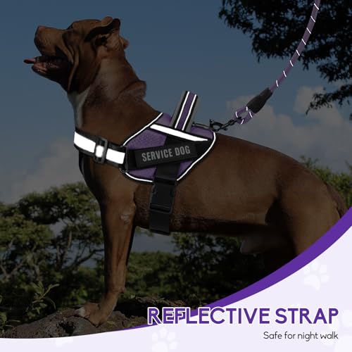 Animire Service Dog Vest Harness and Leash Set – Purple, Size S with 10 Patches