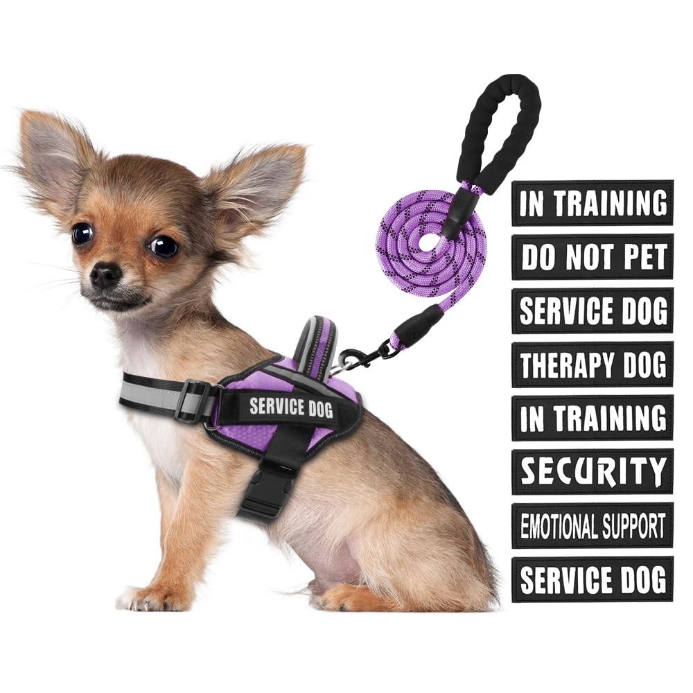 Animire Service Dog Vest Harness and Leash Set – Purple, Size S with 10 Patches