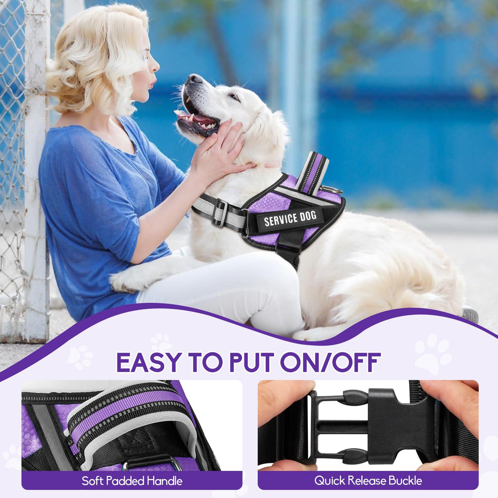 Animire Service Dog Vest Harness and Leash Set – Purple, Size S with 10 Patches