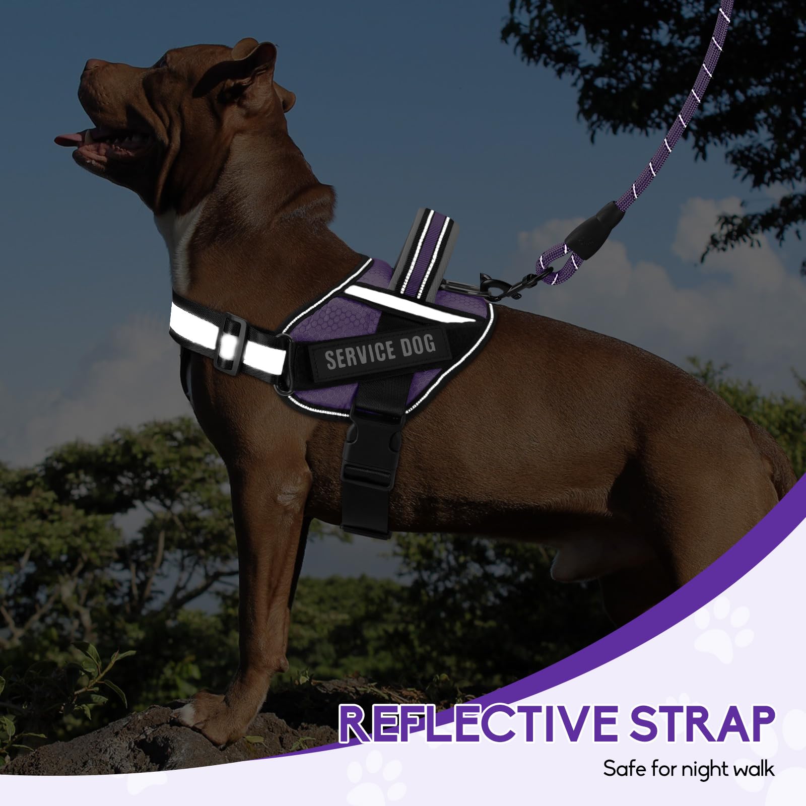 Animire Service Dog Vest Harness and Leash Set – Purple, Size S with 10 Patches