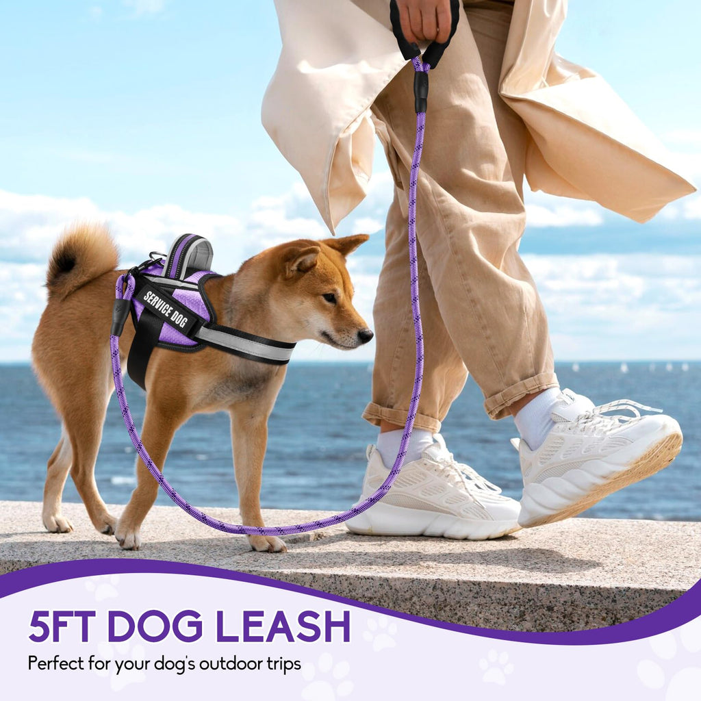 Animire Service Dog Vest Harness and Leash Set – Purple, Size S with 10 Patches