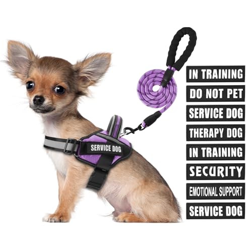 Animire Service Dog Vest Harness and Leash Set – Purple, Size S with 10 Patches